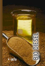 Bio Diesel Bio Diesel
